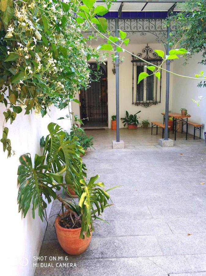 Apartment Alacas Sevilla Exteriör bild